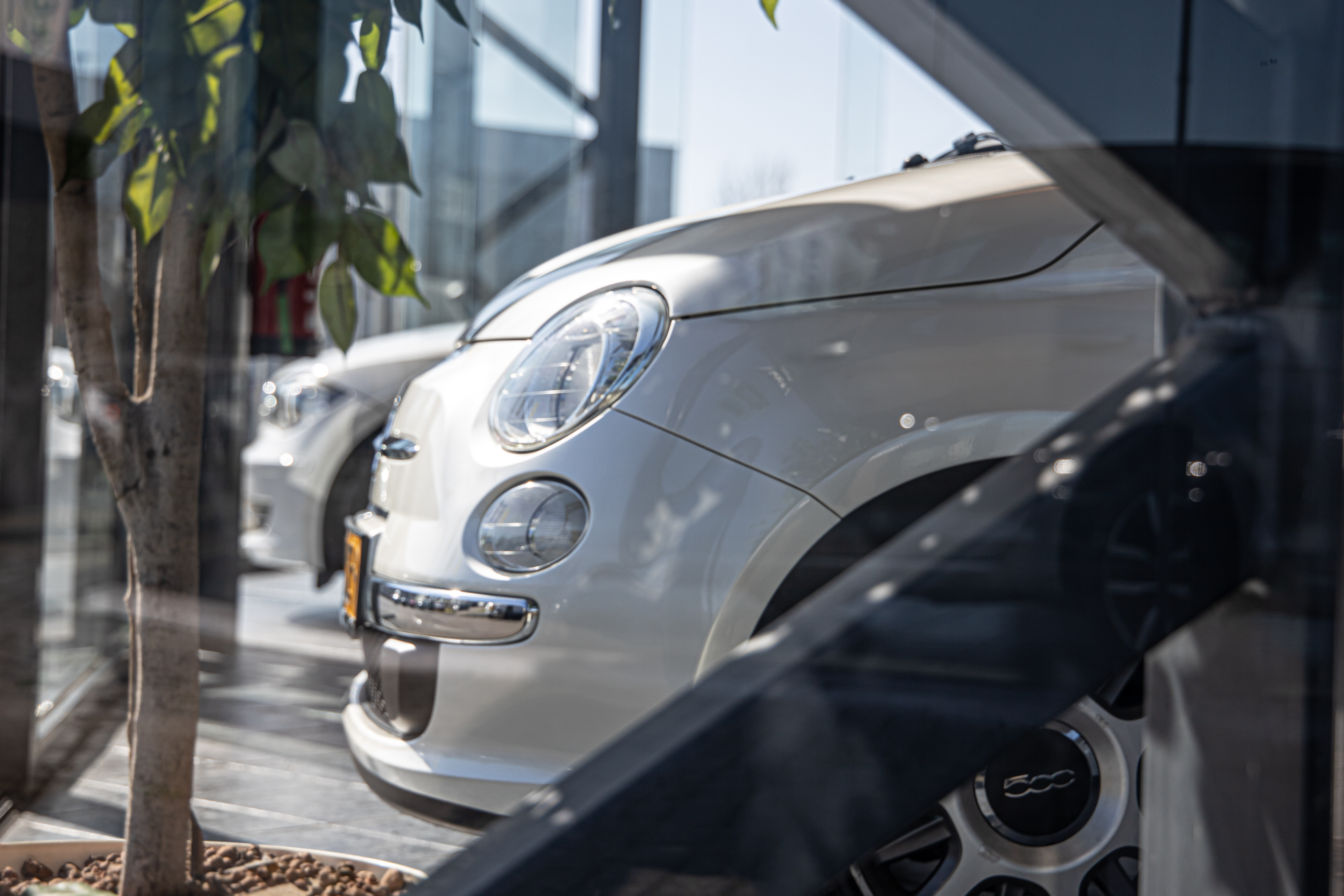 Magnum Cars showroom
